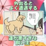 【犬まんが】これだから夏はさ…