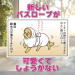 【犬まんが】新しいバスローブが最高可愛い