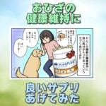 【犬まんが】わんこの関節の健康維持に良いサプリあげてみた