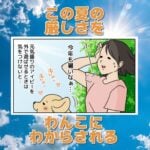 【犬まんが】今年も暑かったよね