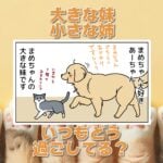 【犬猫まんが】あーまめの関係