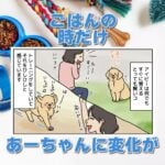 【犬まんが】ごはん食べた？