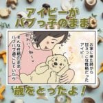 【犬まんが】アイビー2歳になりました！