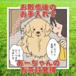 【犬まんが】ひっつき虫が終わらない