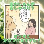 【犬まんが】電話の途中ですがあ～ちゃんですし