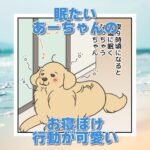 【犬まんが】眠くなったあーちゃんがよぼよぼ可愛い