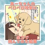 【犬まんが】ペロペロ準備完了！