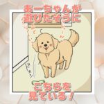 【犬まんが】遊びのお誘いタイミング