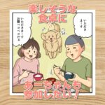 【犬まんが】あーちゃんの席は？